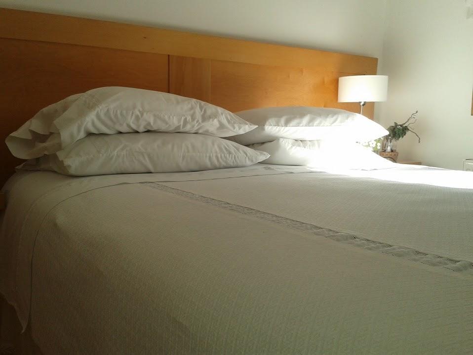 Canales Del Sur & 3* Puerto Varas