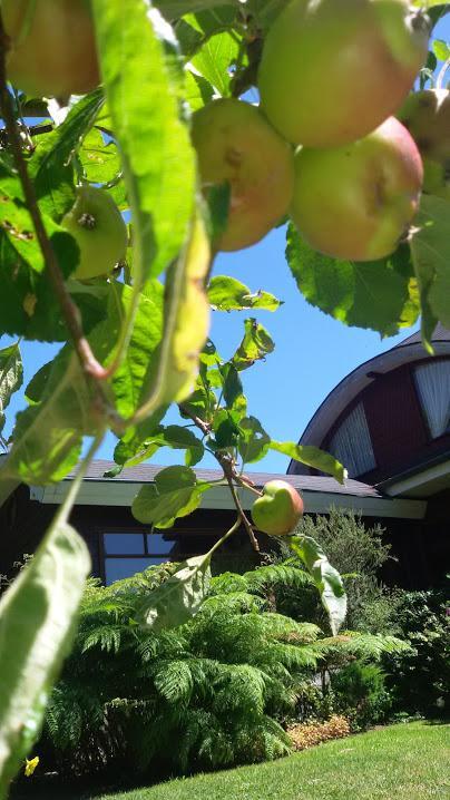 Canales Del Sur & Hotel Puerto Varas